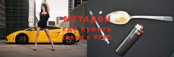 прущие грибы Бородино