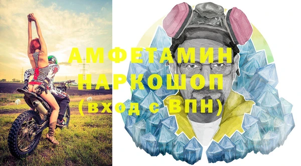 прущие грибы Бородино
