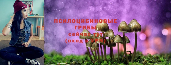 кристаллы Богородицк
