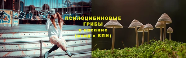 COCAINE Богородск